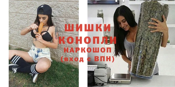 ПСИЛОЦИБИНОВЫЕ ГРИБЫ Кулебаки