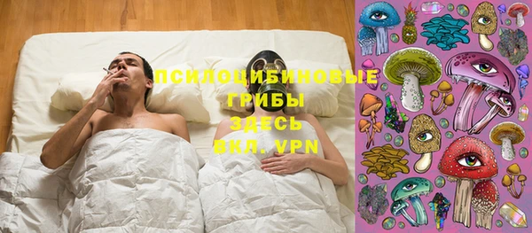 бошки Алексин