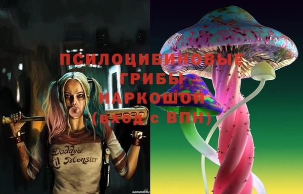 ПСИЛОЦИБИНОВЫЕ ГРИБЫ Кулебаки